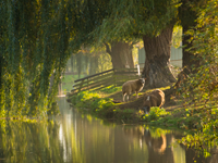 Landschappen